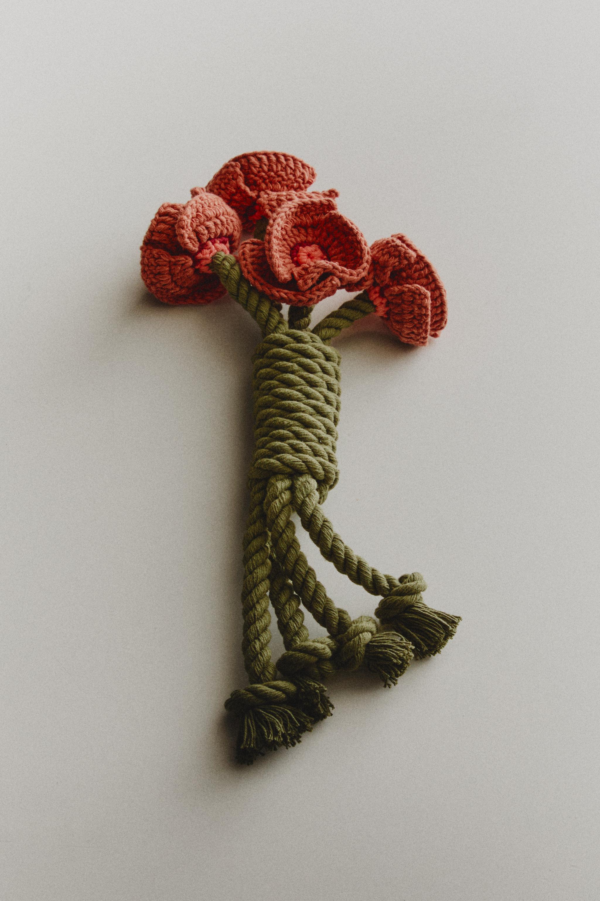 JOUET BOUQUET COQUELICOTS ANIMAUX DE COMPAGNIE